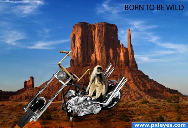 Born To Be Wild